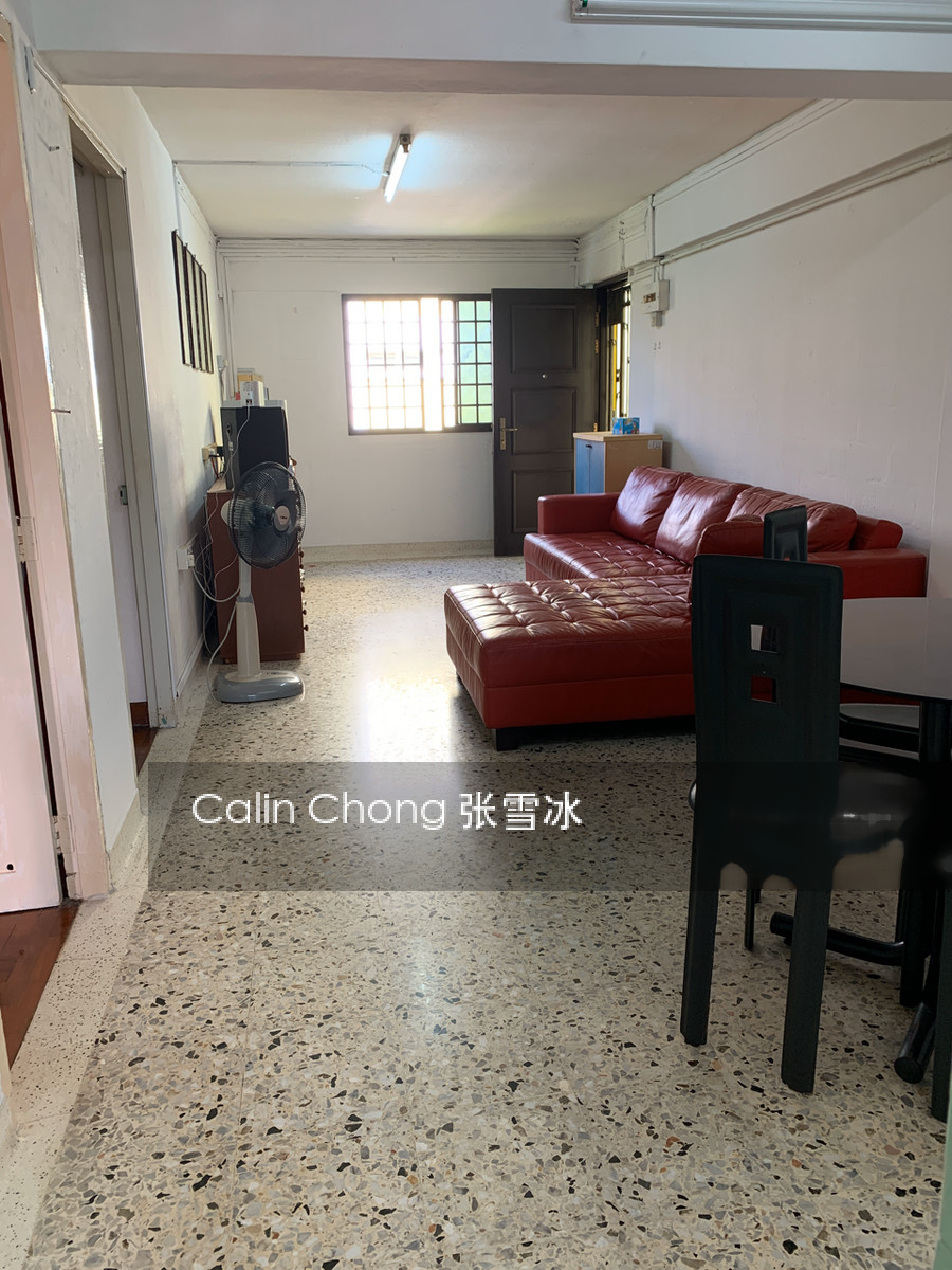 Blk 32 Holland Close (Queenstown), HDB 3 Rooms #214812571